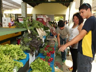 foto-francisco-arrais-feira-organicos-santos