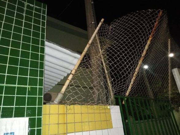 - REVISTA MAIS SANTOS