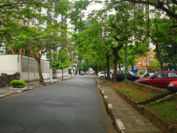 - REVISTA MAIS SANTOS