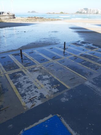 - REVISTA MAIS SANTOS