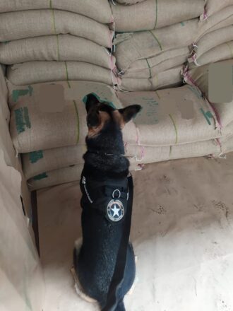  - REVISTA MAIS SANTOS