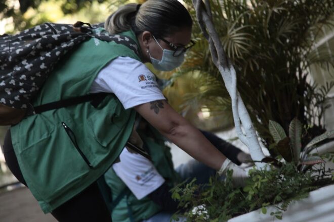 - REVISTA MAIS SANTOS