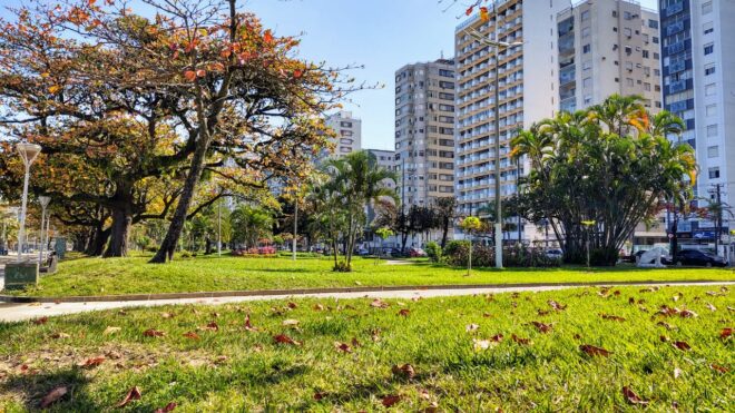 - REVISTA MAIS SANTOS