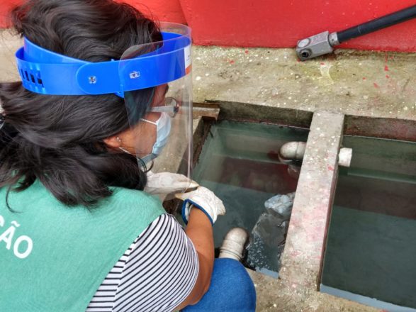  - REVISTA MAIS SANTOS