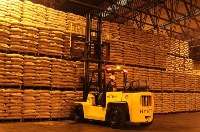 - REVISTA MAIS SANTOS