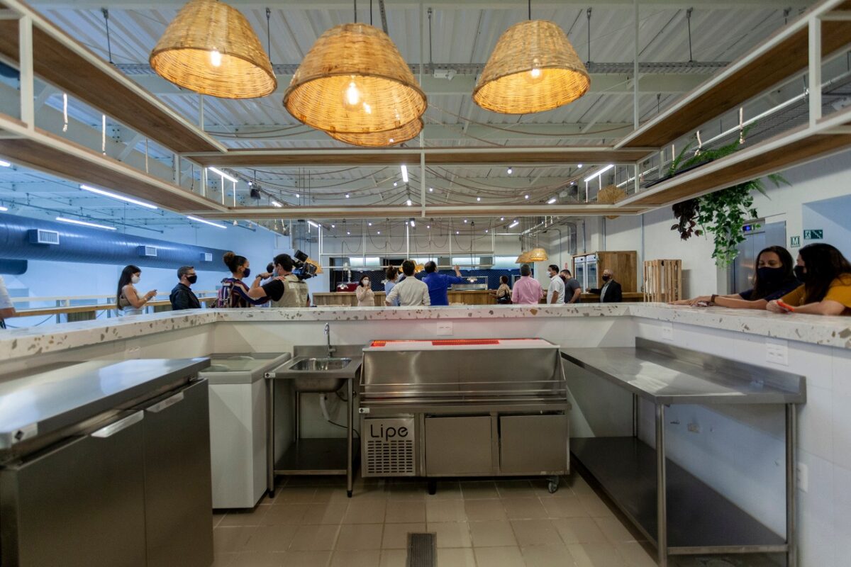 - REVISTA MAIS SANTOS