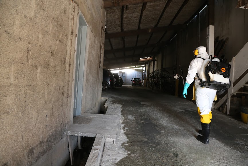  - REVISTA MAIS SANTOS