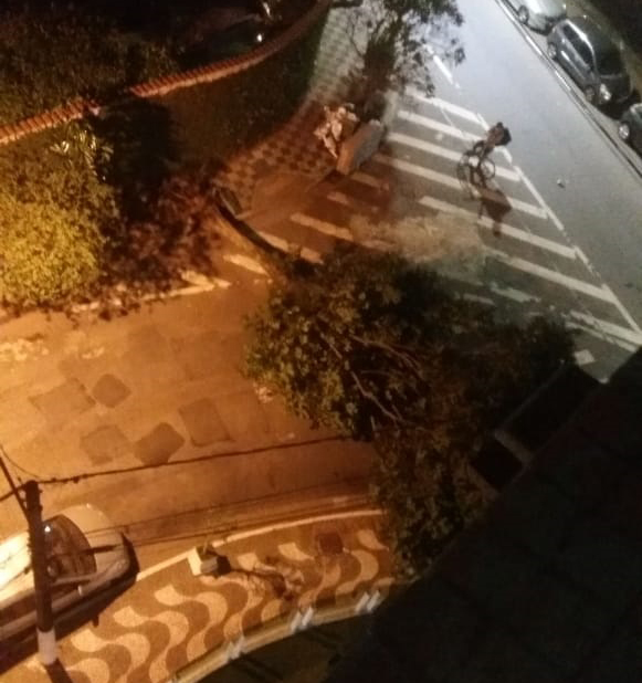 - REVISTA MAIS SANTOS