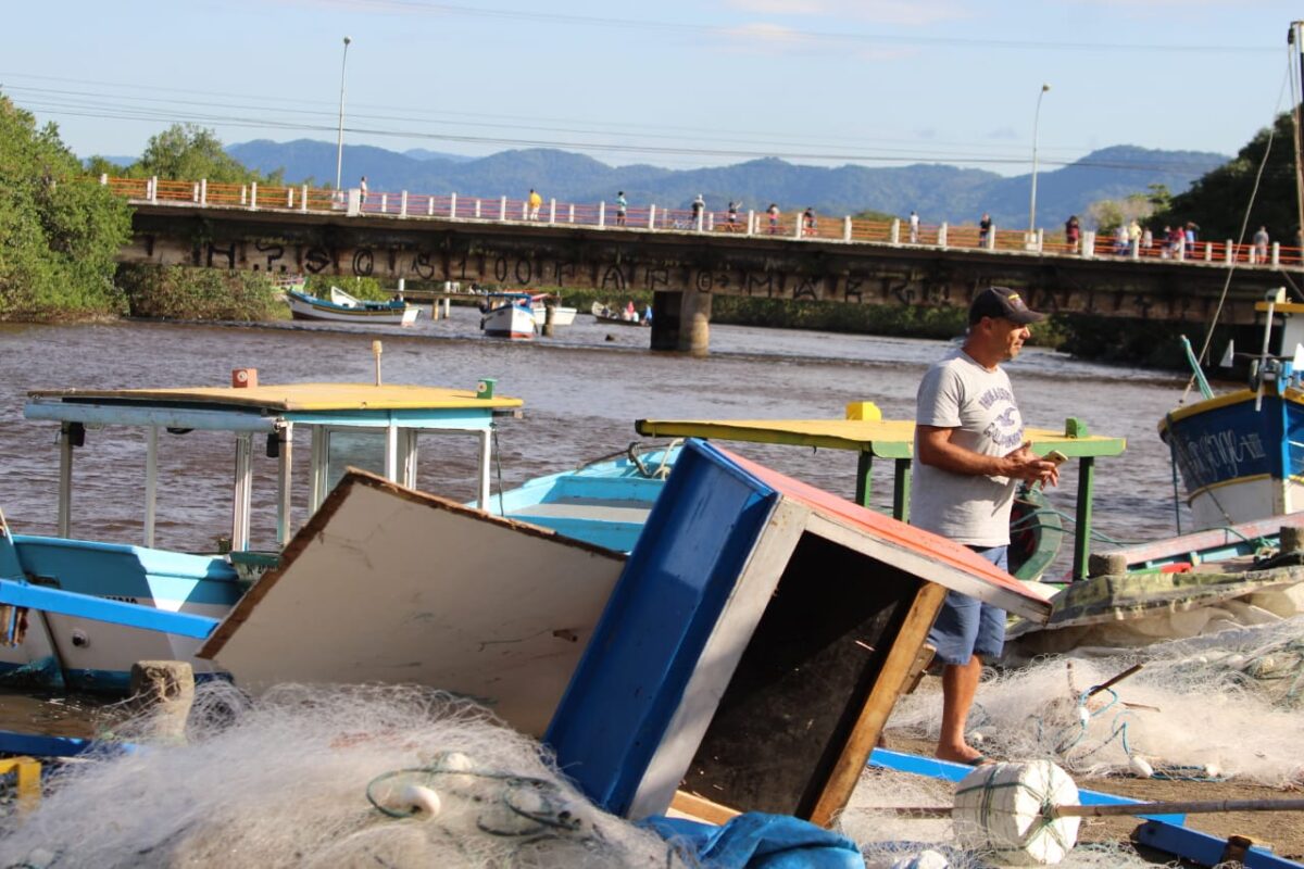 - REVISTA MAIS SANTOS