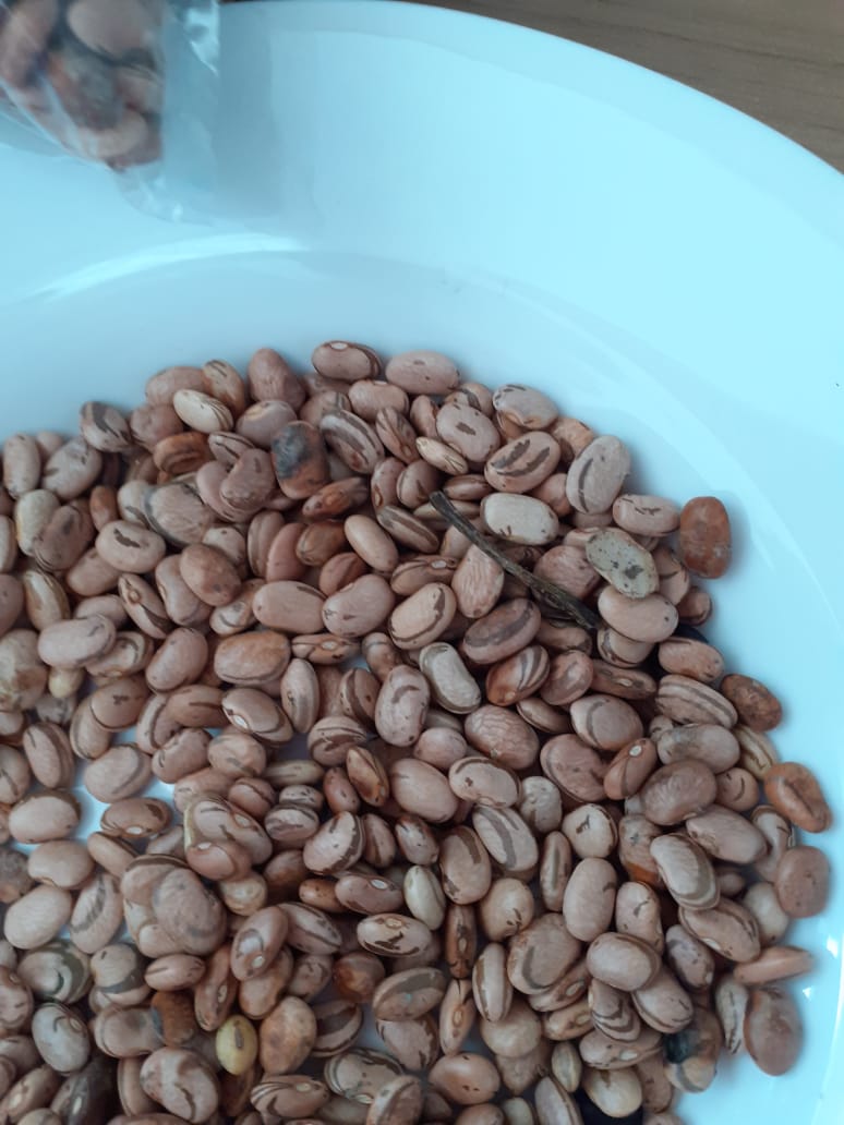  - REVISTA MAIS SANTOS