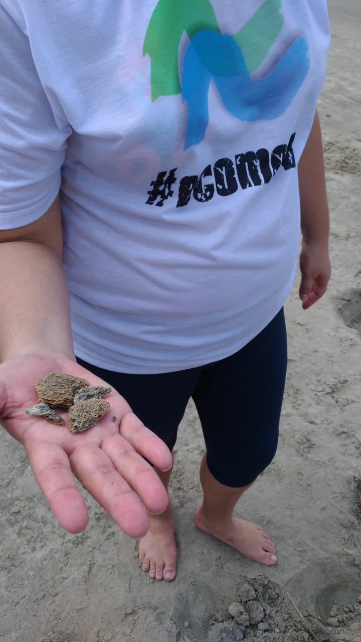  - REVISTA MAIS SANTOS