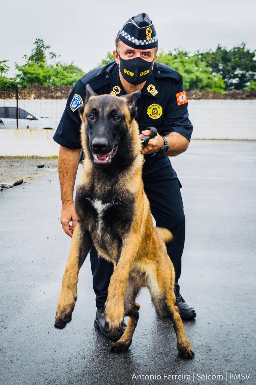  - REVISTA MAIS SANTOS