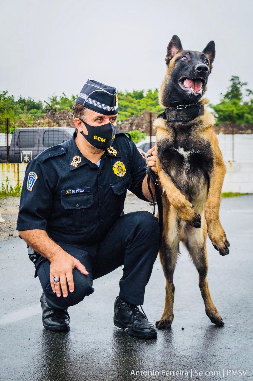  - REVISTA MAIS SANTOS