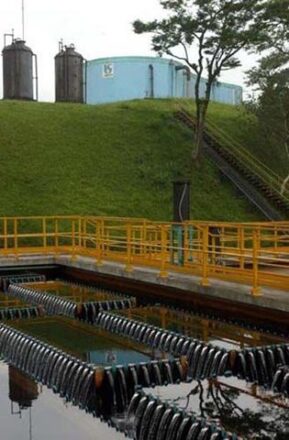  - REVISTA MAIS SANTOS