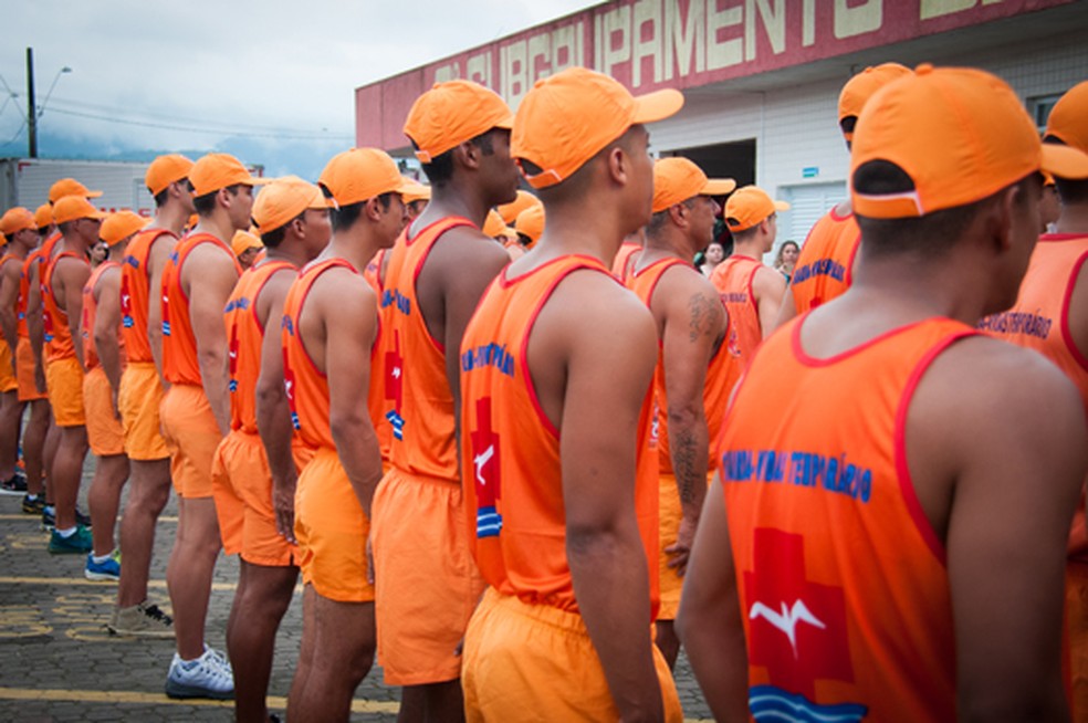 - REVISTA MAIS SANTOS