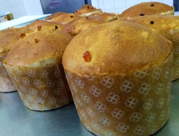  - REVISTA MAIS SANTOS