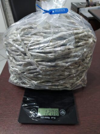  - REVISTA MAIS SANTOS