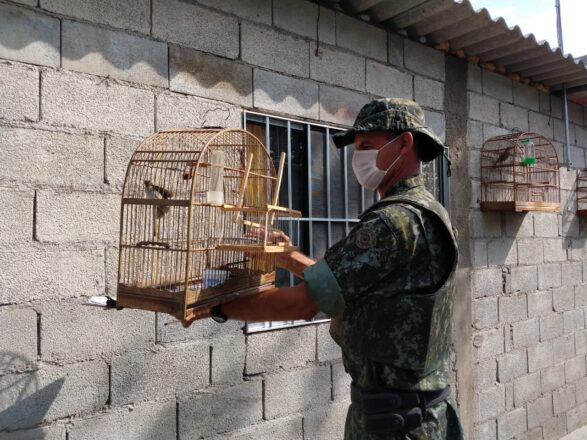  - REVISTA MAIS SANTOS