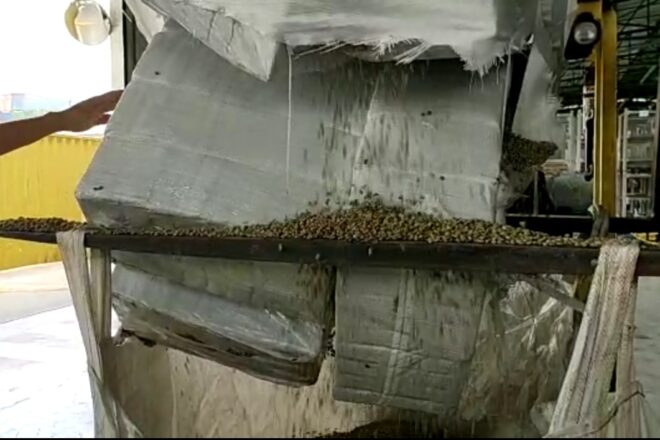  - REVISTA MAIS SANTOS