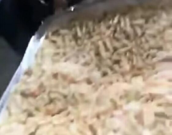  - REVISTA MAIS SANTOS