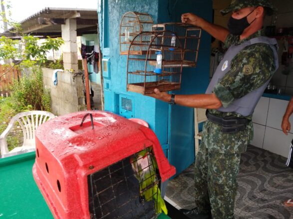  - REVISTA MAIS SANTOS