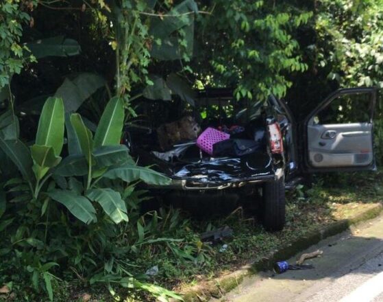 - REVISTA MAIS SANTOS