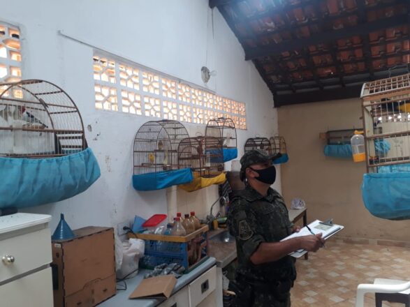  - REVISTA MAIS SANTOS