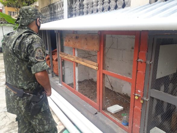  - REVISTA MAIS SANTOS