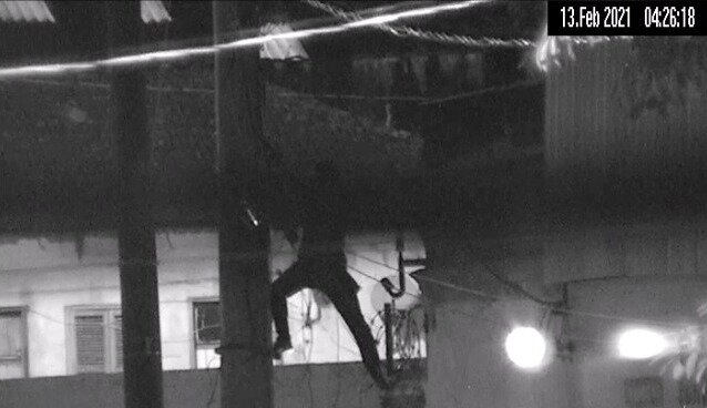 - REVISTA MAIS SANTOS