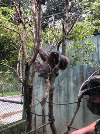  - REVISTA MAIS SANTOS