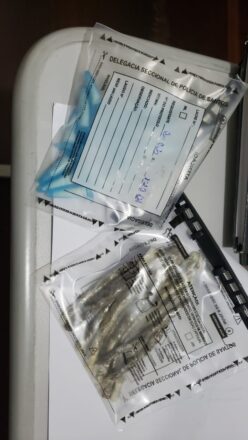  - REVISTA MAIS SANTOS