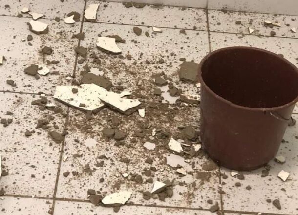  - REVISTA MAIS SANTOS