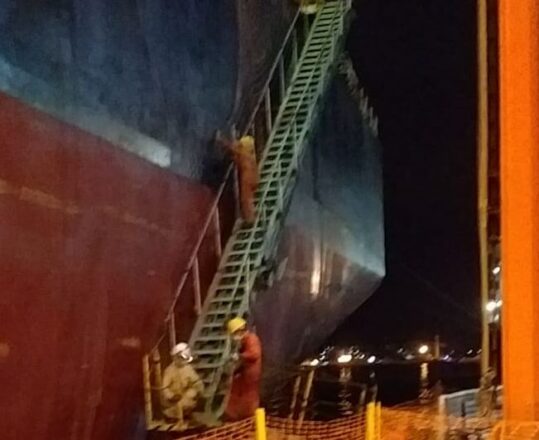  - REVISTA MAIS SANTOS