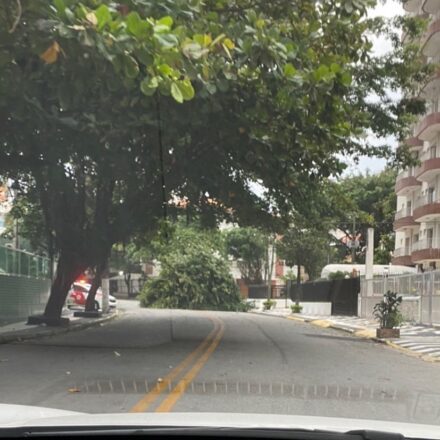  - REVISTA MAIS SANTOS