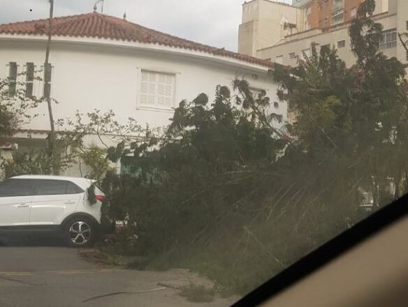  - REVISTA MAIS SANTOS