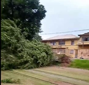  - REVISTA MAIS SANTOS