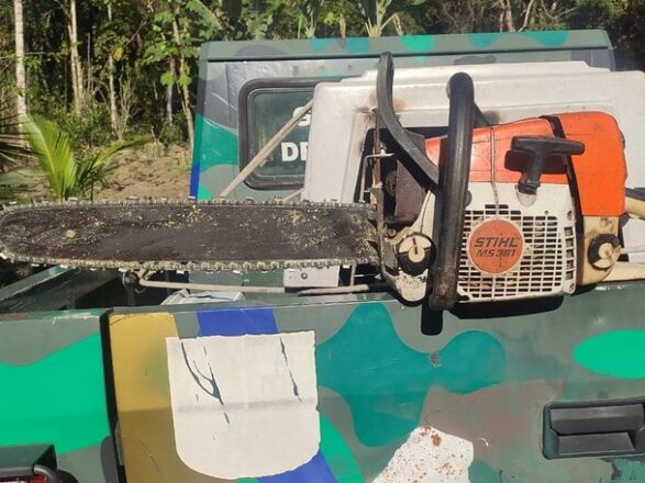 - REVISTA MAIS SANTOS