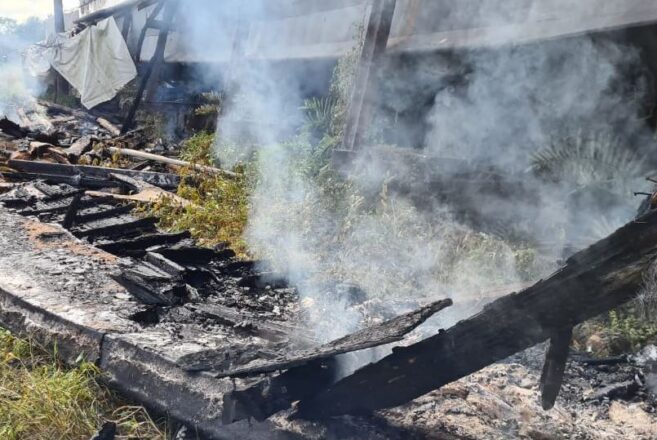  - REVISTA MAIS SANTOS