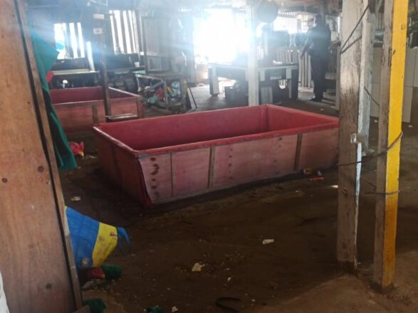 - REVISTA MAIS SANTOS