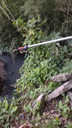 - REVISTA MAIS SANTOS