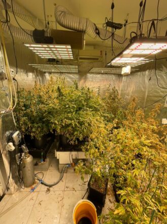  - REVISTA MAIS SANTOS