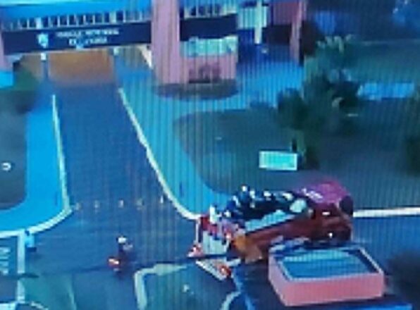 - REVISTA MAIS SANTOS