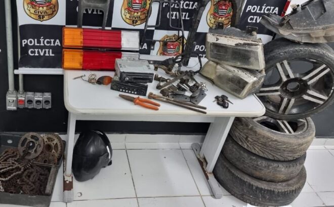 - REVISTA MAIS SANTOS